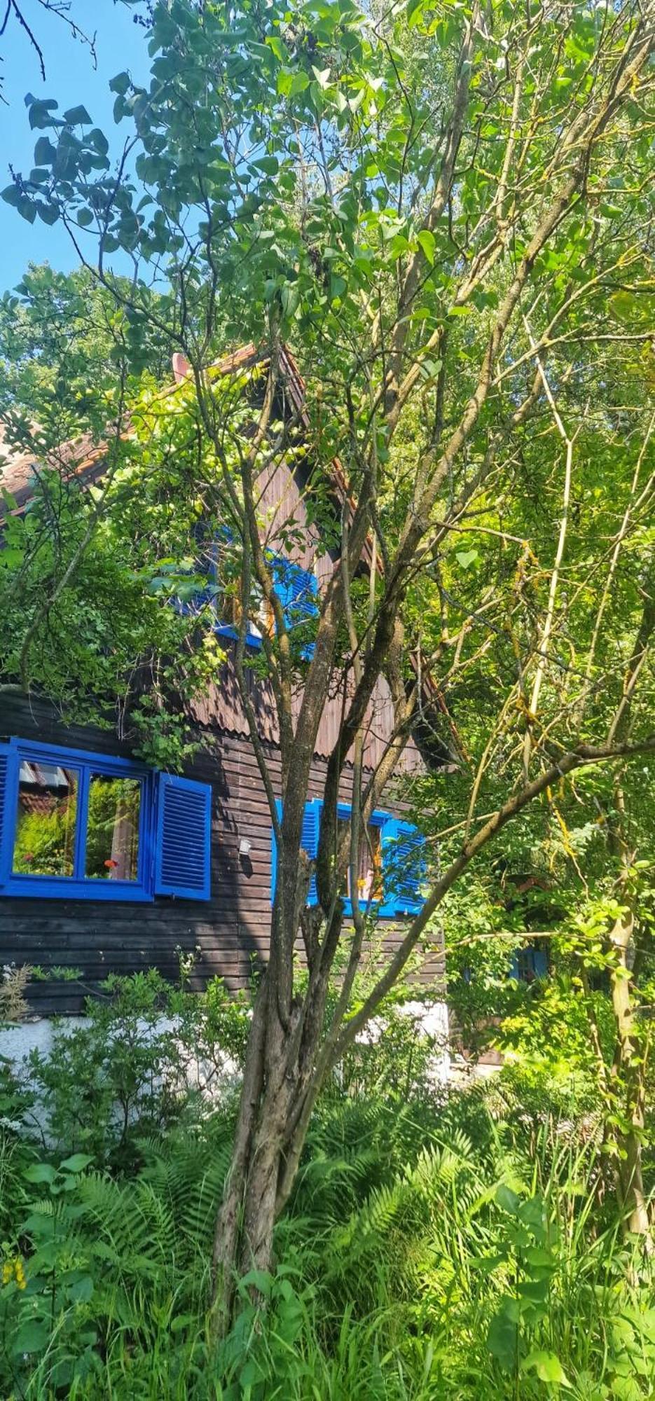 Forsthaus Sommerleite Kammerstein Buitenkant foto